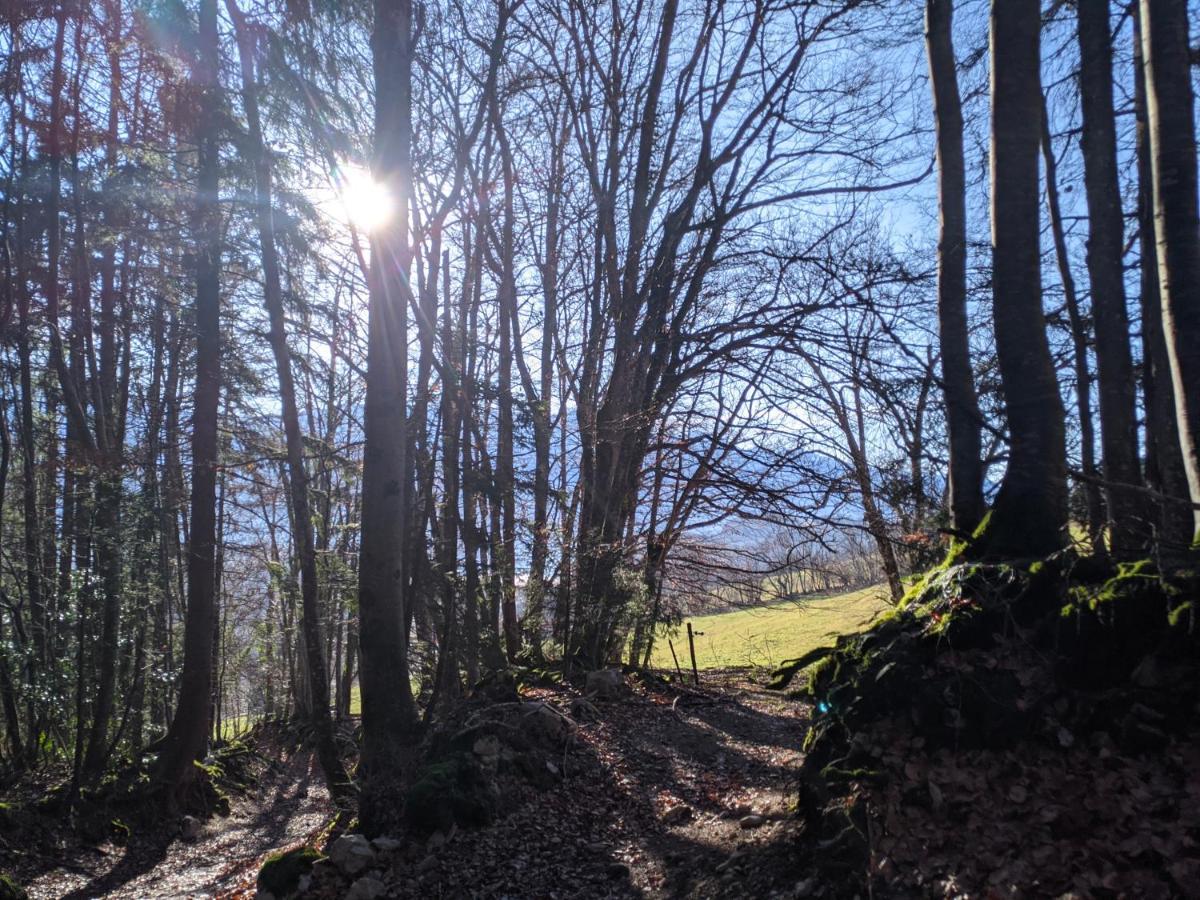 Appartement De Plain-Pied En Montagne Avec Vue Merveilleuse Sur Le Massif De Belledonne Saint Bernard du Touvet ภายนอก รูปภาพ