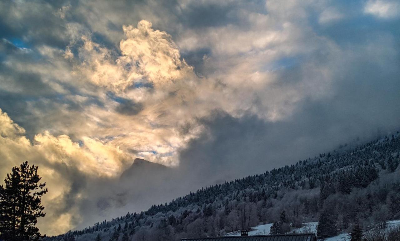 Appartement De Plain-Pied En Montagne Avec Vue Merveilleuse Sur Le Massif De Belledonne Saint Bernard du Touvet ภายนอก รูปภาพ